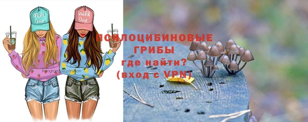 a pvp Аркадак