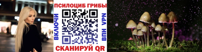 Галлюциногенные грибы мухоморы  Кировск 